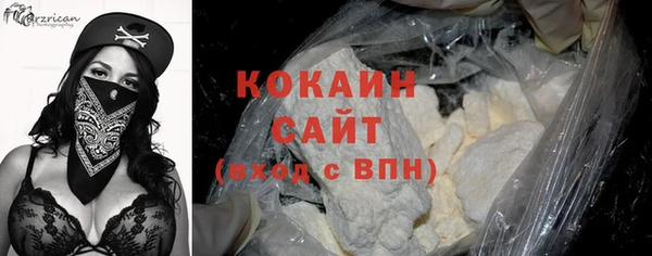 бошки Белокуриха