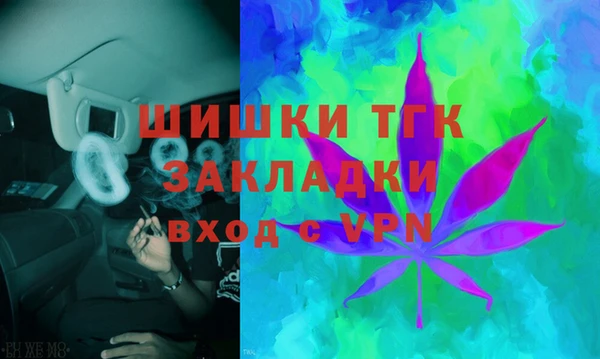 дурь Покачи