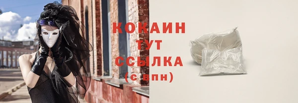 бошки Белокуриха