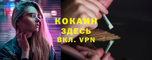 бошки Белокуриха