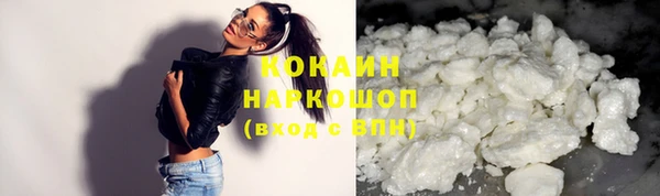 бошки Белокуриха