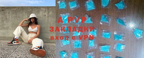 бошки Белокуриха