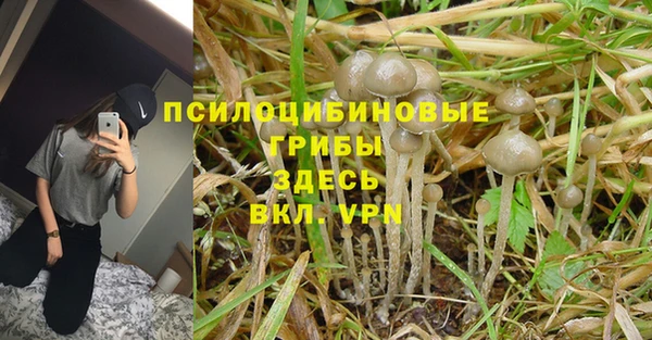 гашиш Беломорск