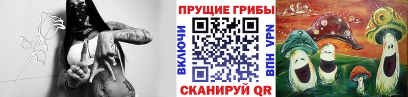 shop как зайти  Холмск  Псилоцибиновые грибы мицелий 